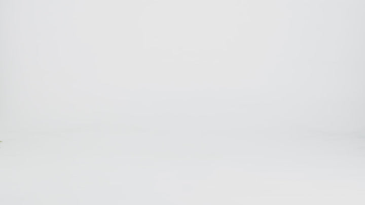 Be Lenka - Synergy - Cognac & Beige - Cuero