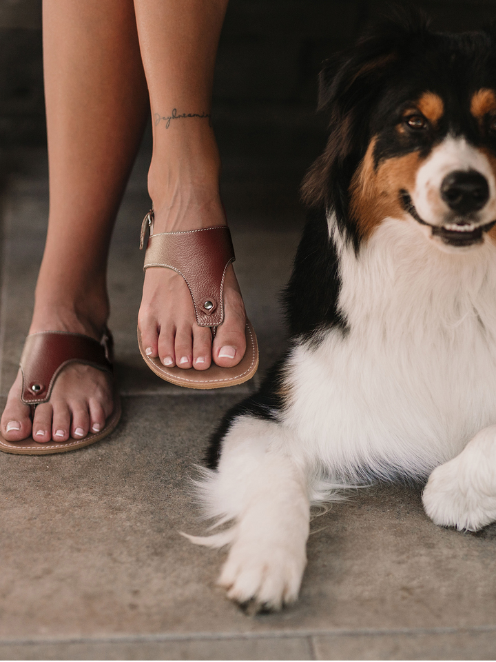 Be Lenka - Sandalias Promenade - Brown